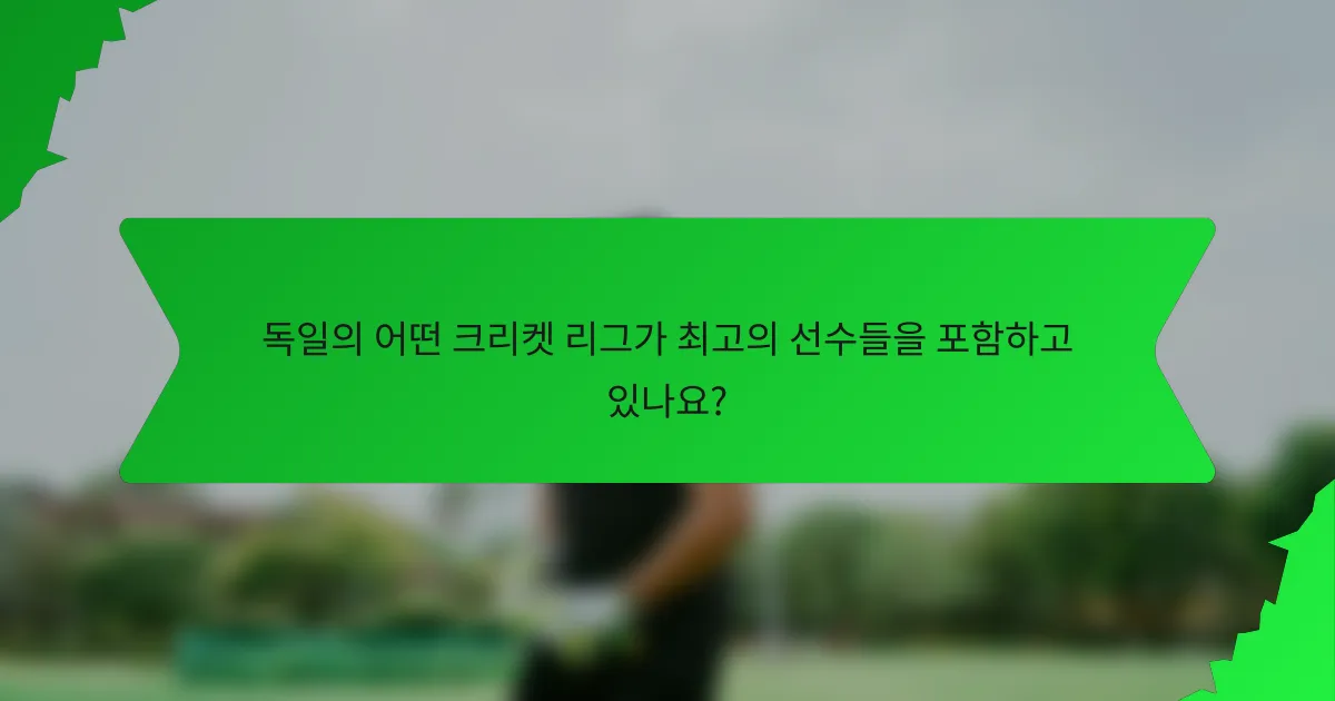독일의 어떤 크리켓 리그가 최고의 선수들을 포함하고 있나요?
