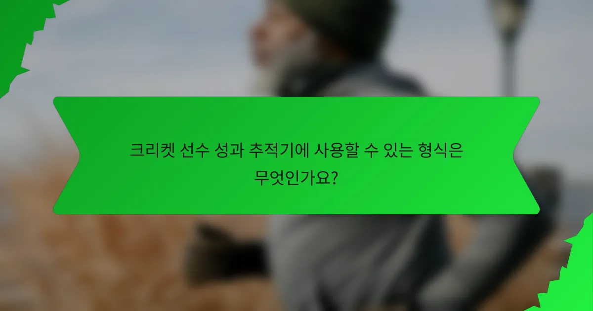 크리켓 선수 성과 추적기에 사용할 수 있는 형식은 무엇인가요?