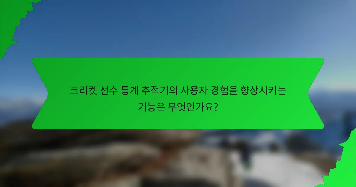 크리켓 선수 통계 추적기의 사용자 경험을 향상시키는 기능은 무엇인가요?