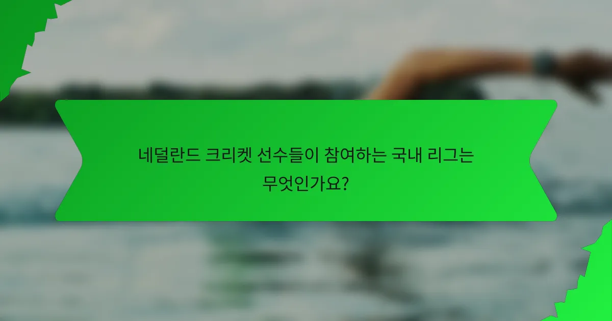 네덜란드 크리켓 선수들이 참여하는 국내 리그는 무엇인가요?