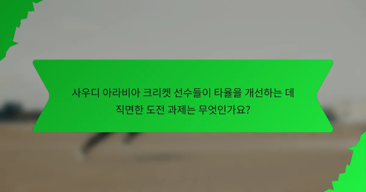 사우디 아라비아 크리켓 선수들이 타율을 개선하는 데 직면한 도전 과제는 무엇인가요?